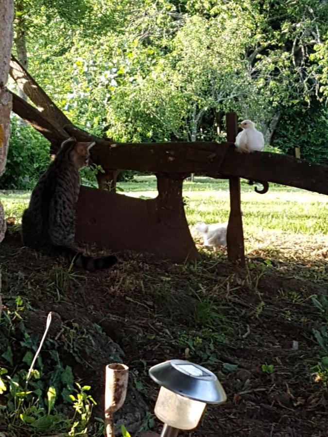 Les 3 Tilleuls Bellac Buitenkant foto